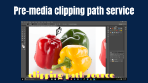 Pre-media clipping path service