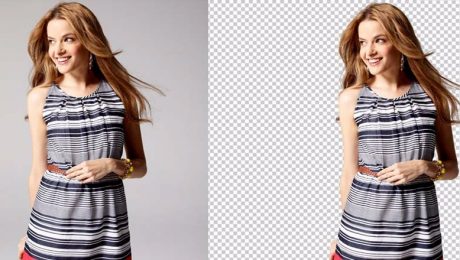 Photoshop Hair Masking service. Remove the background or any object from the hairy object. Our basic price starts at $0.39 per image. Please visit our website to get more about us.