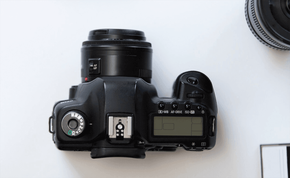 DSLR Camera Battery Compartment