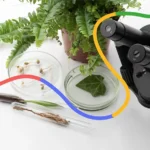 Scientific Photography- Capturing What the Eye Can't See