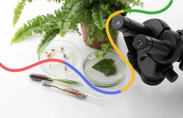 Scientific Photography- Capturing What the Eye Can't See