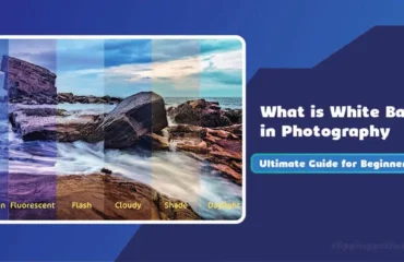 White Balance in Photography White Balance in Photography