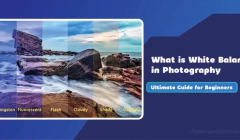 White Balance in Photography