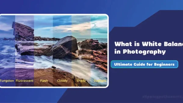 White Balance in Photography