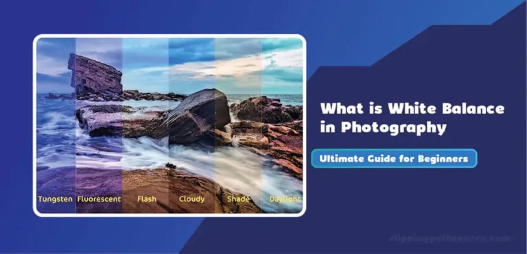 White Balance in Photography