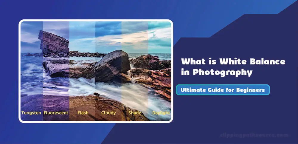 White Balance in Photography White Balance in Photography
